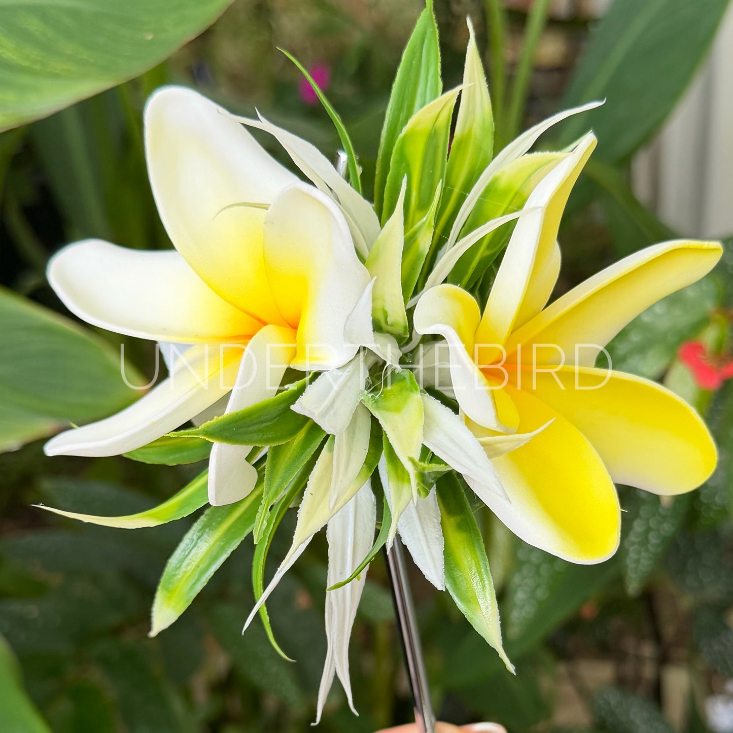 Dbl Pua Flower Clip