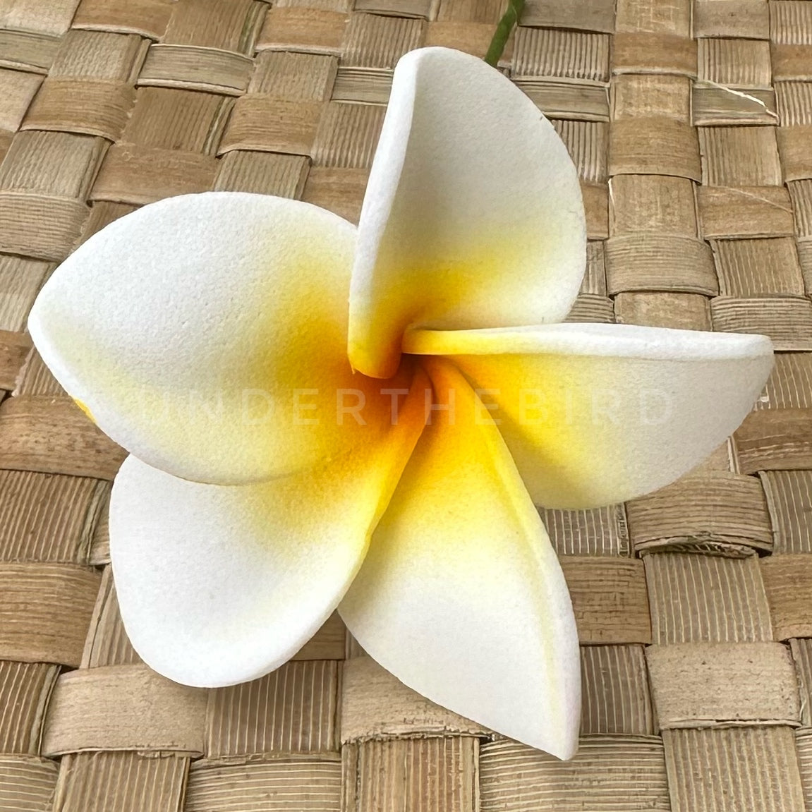 Mini Frangipani Flower Sei