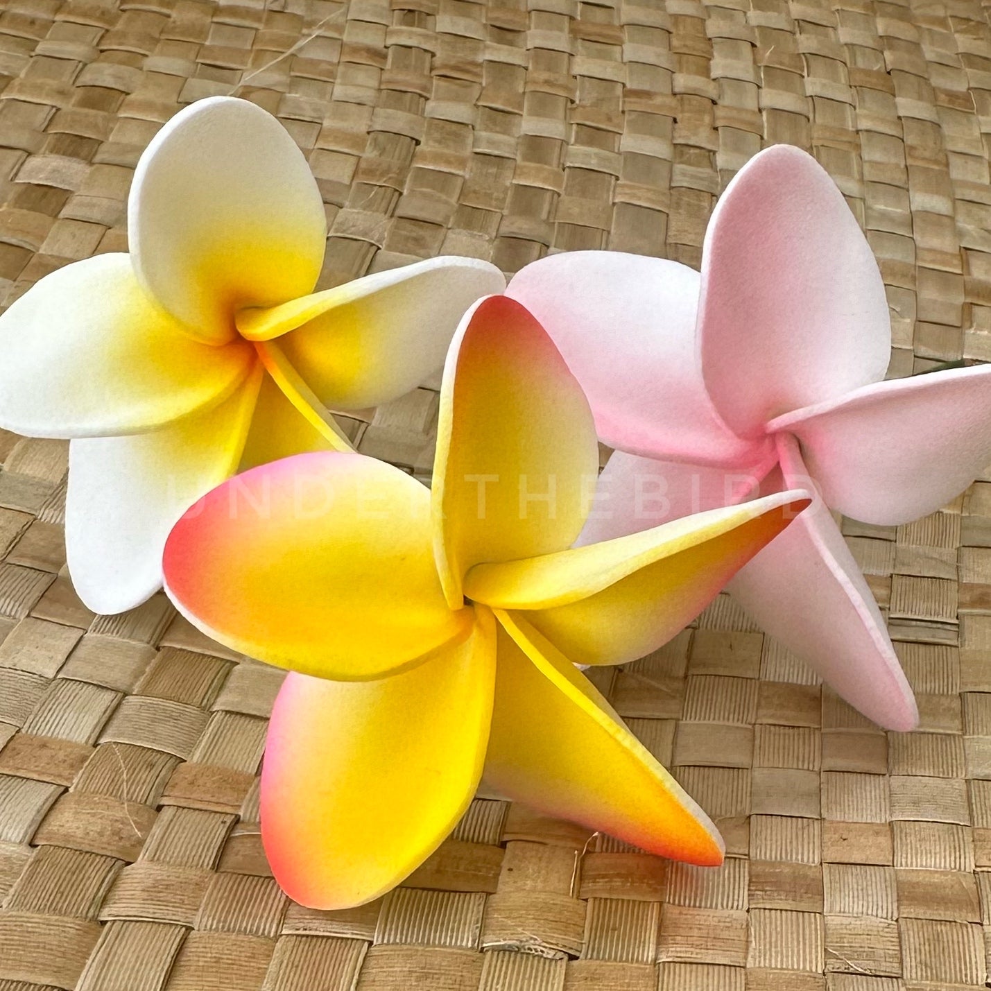 Small Frangipani Flower Sei