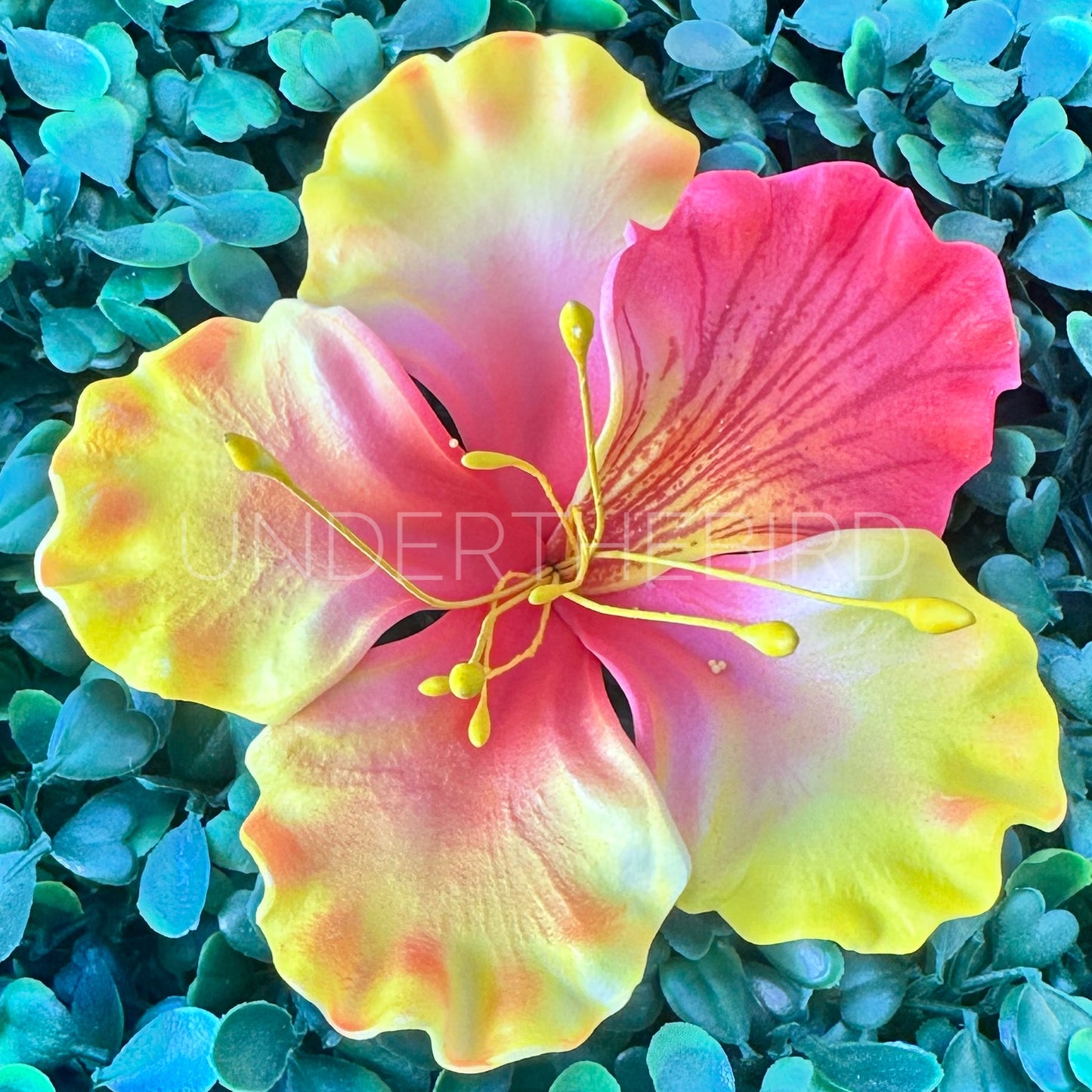 O’hai Ali’i Flower Sei 8cm