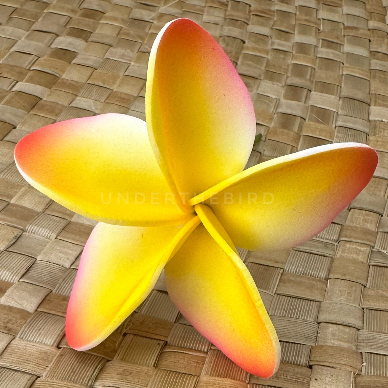 Small Frangipani Flower Sei