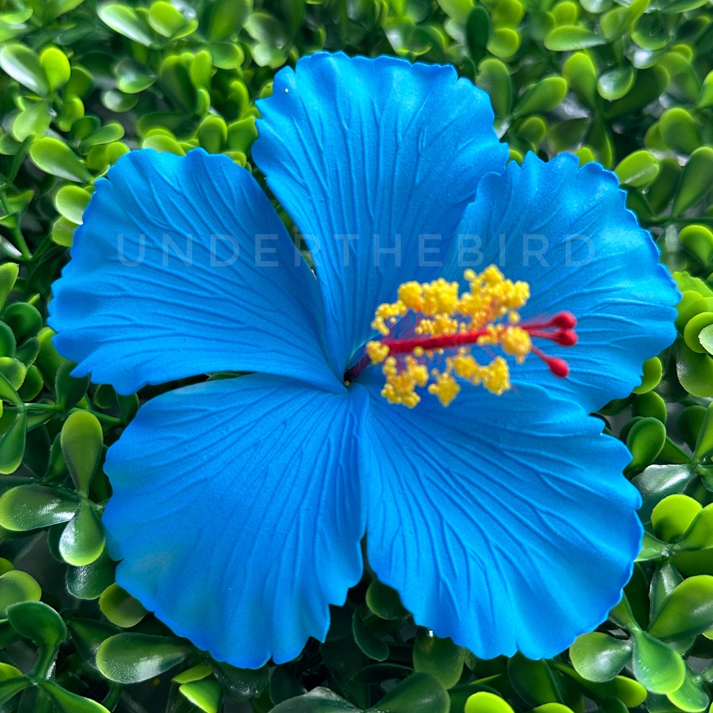 Nimo Hibiscus Sei 10cm