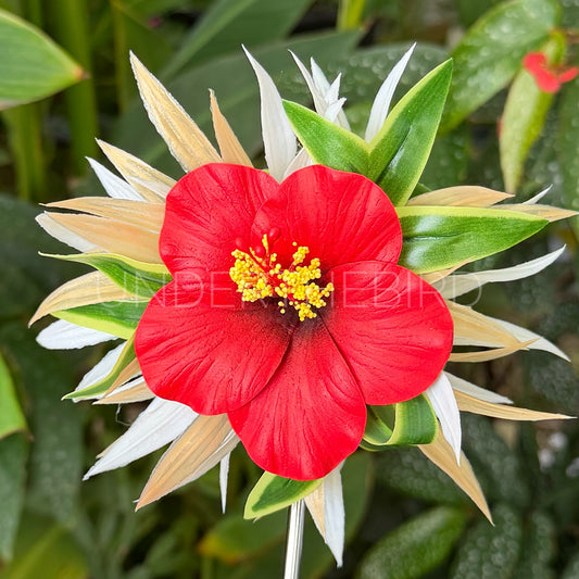Hibiscus Flower Clip