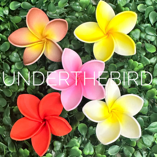 Mini Frangipani Flower Sei 5cm