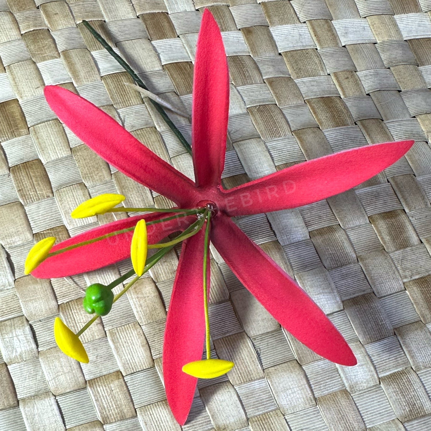 Spider Lily Sei – Under The Bird