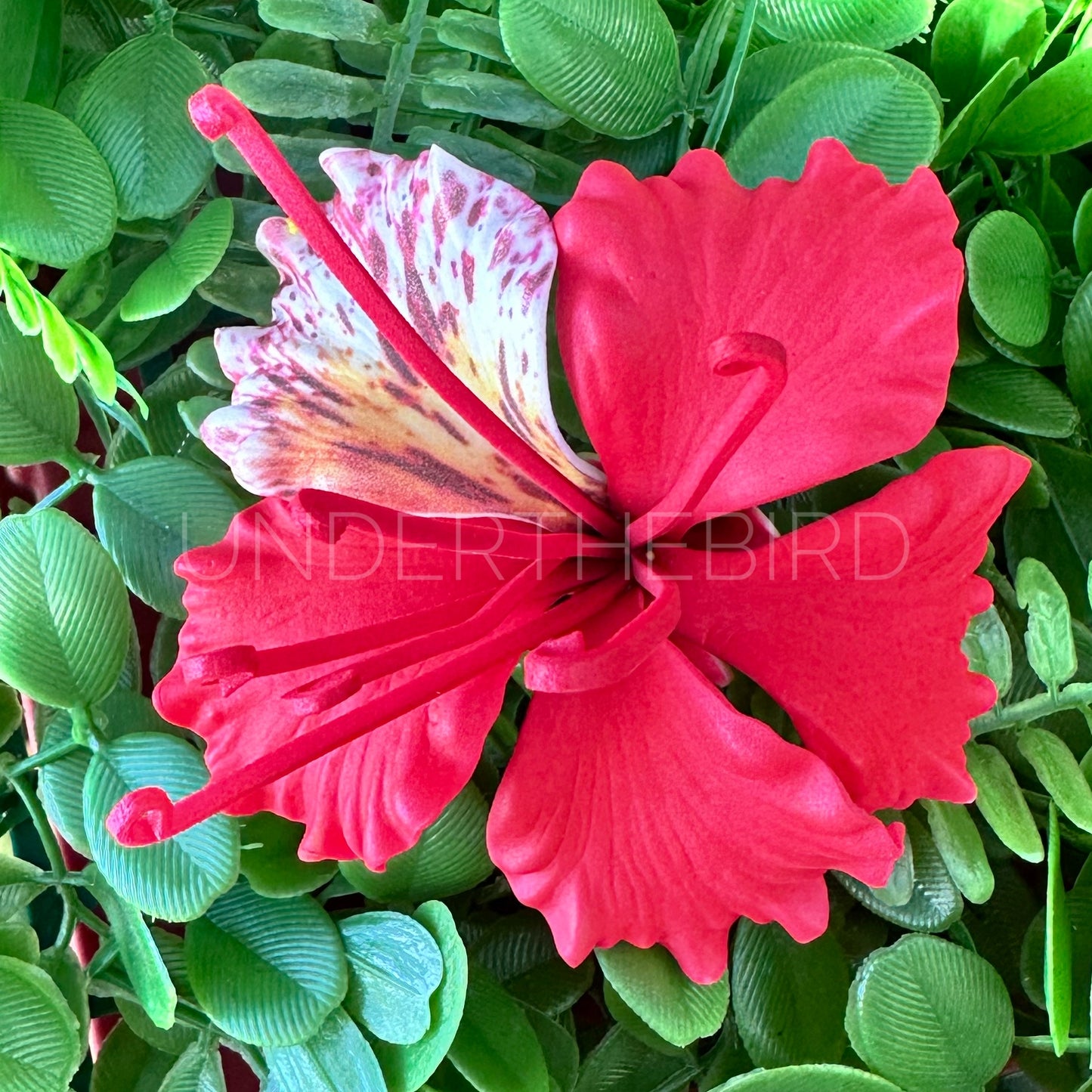 Poinciana Flower Sei 11cm