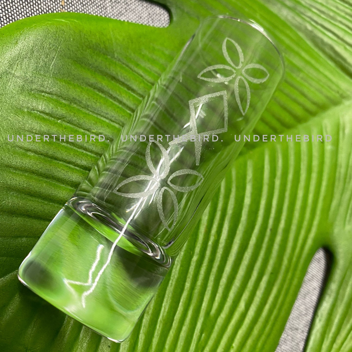 Etched Pacific Shot Glasses