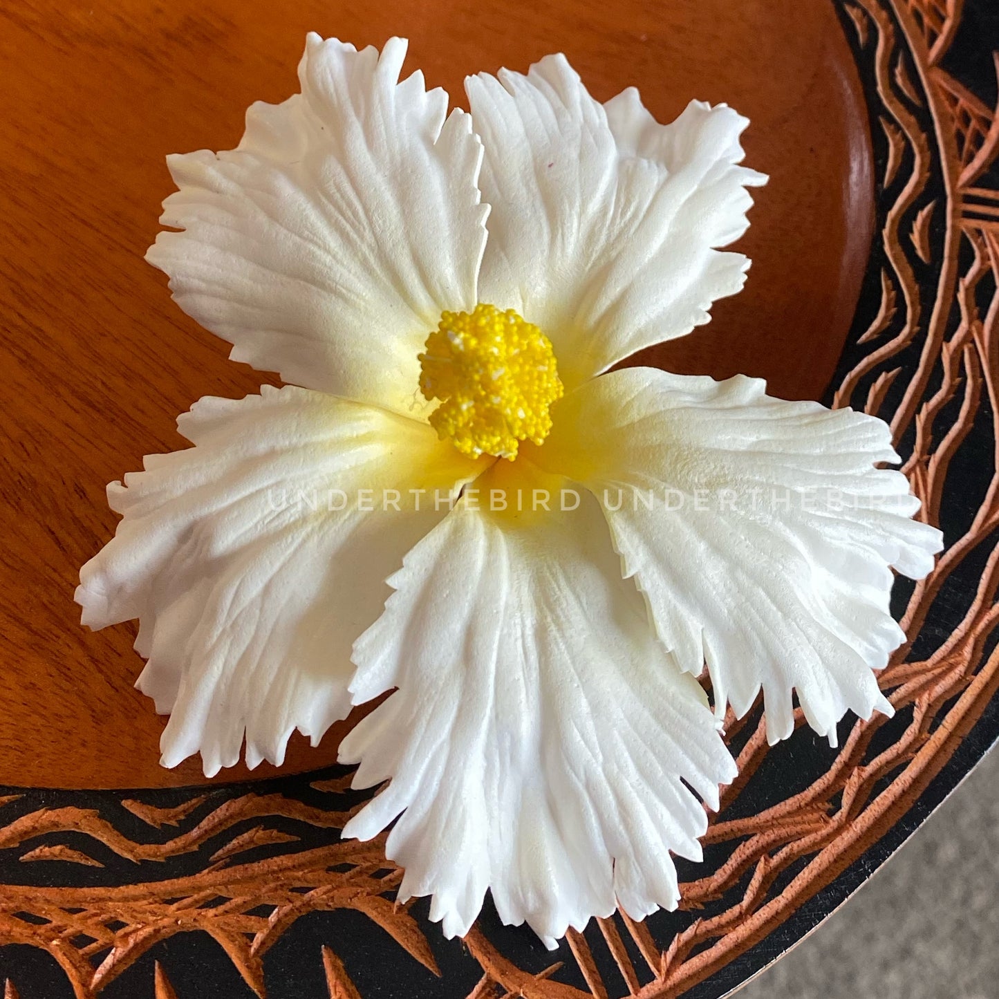 Kisa Hibiscus Sei