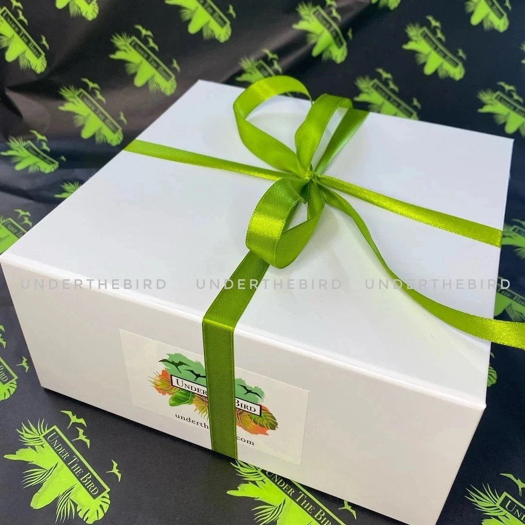 Stella Gift Set