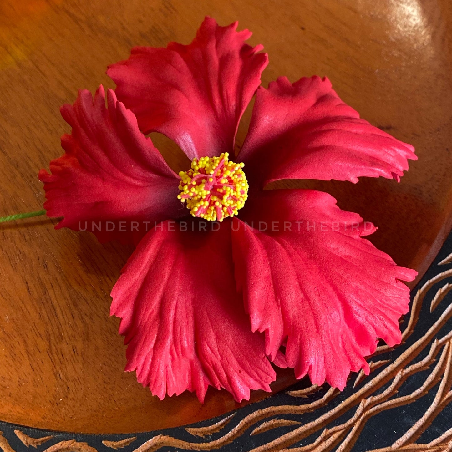 Kisa Hibiscus Sei