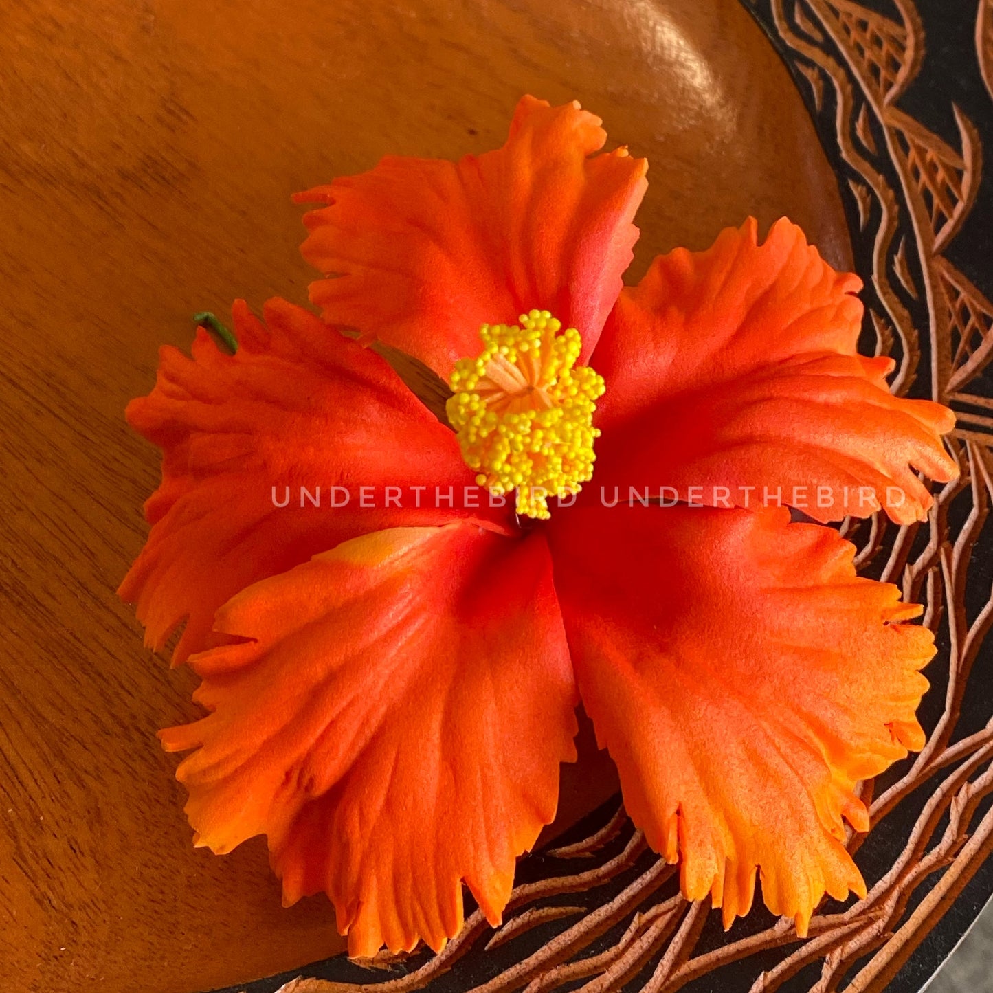 Kisa Hibiscus Sei