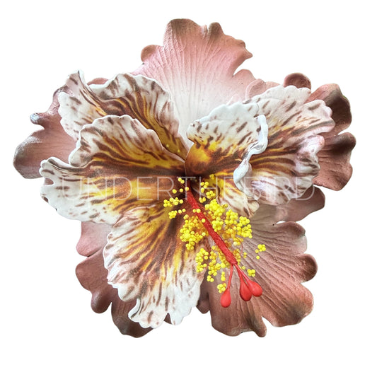 Elena Hibiscus Flower Sei 10.5cm