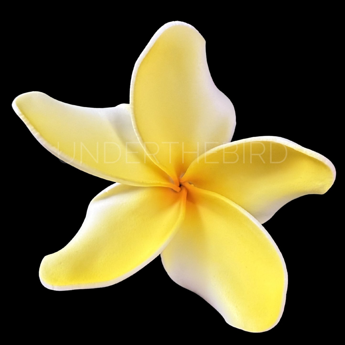 Tifa Frangipani Sei