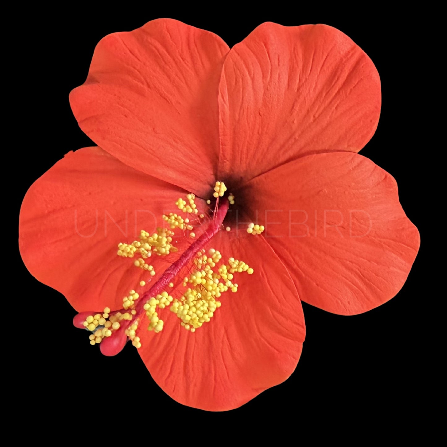Rona Hibiscus Flower Sei 9cm