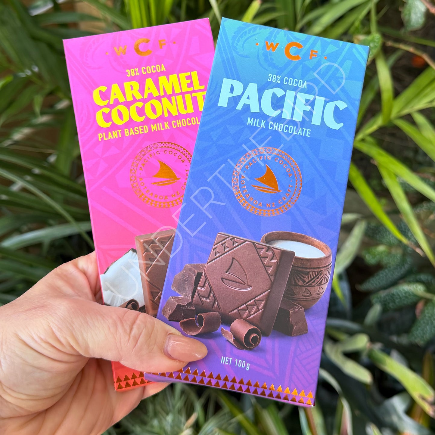 Pacific Milk Chocolate