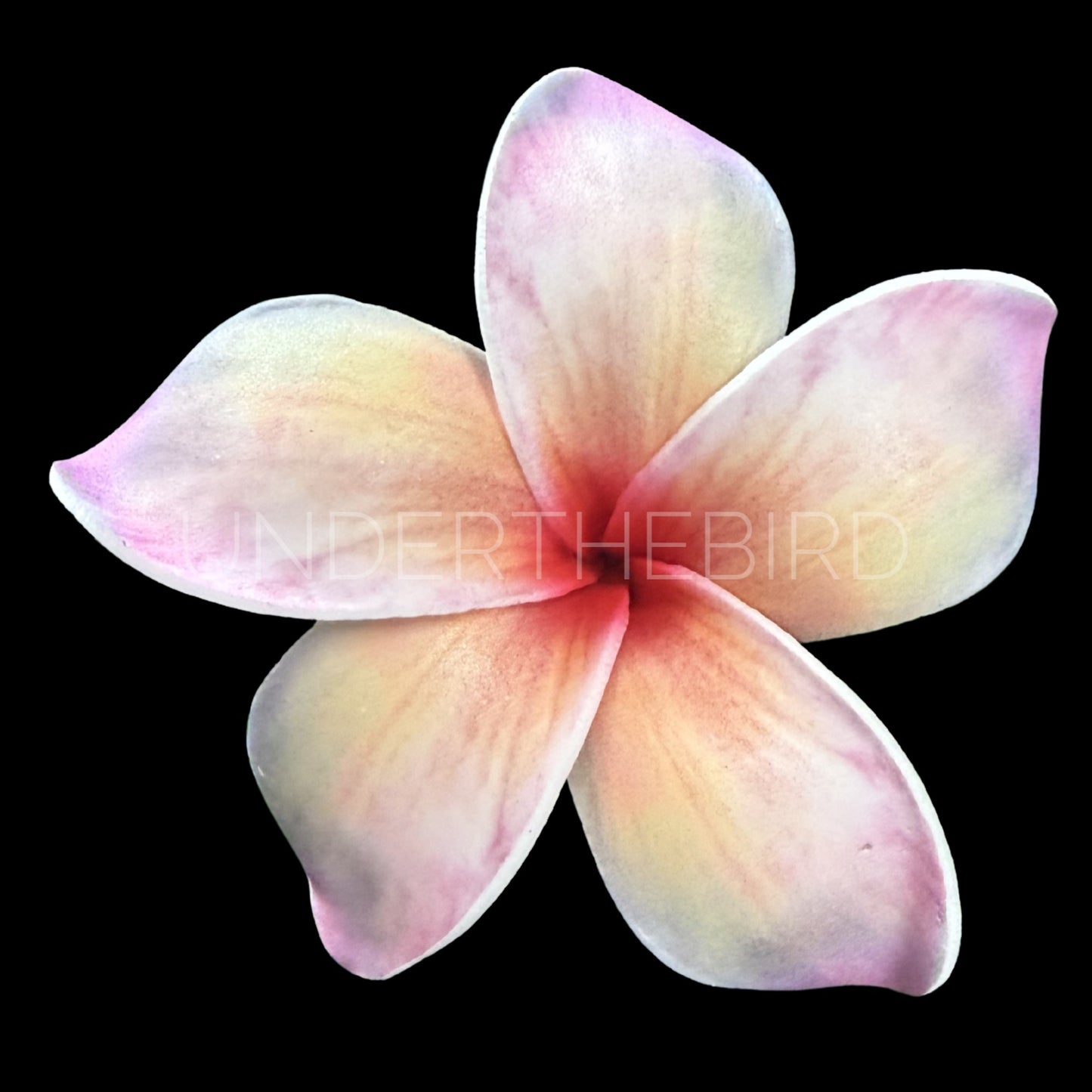 Sieni Flower Sei