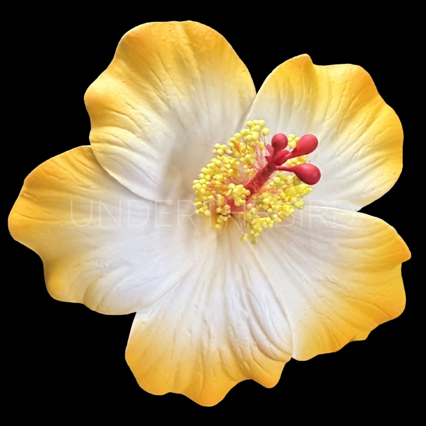 Rona Hibiscus Flower Sei 9cm