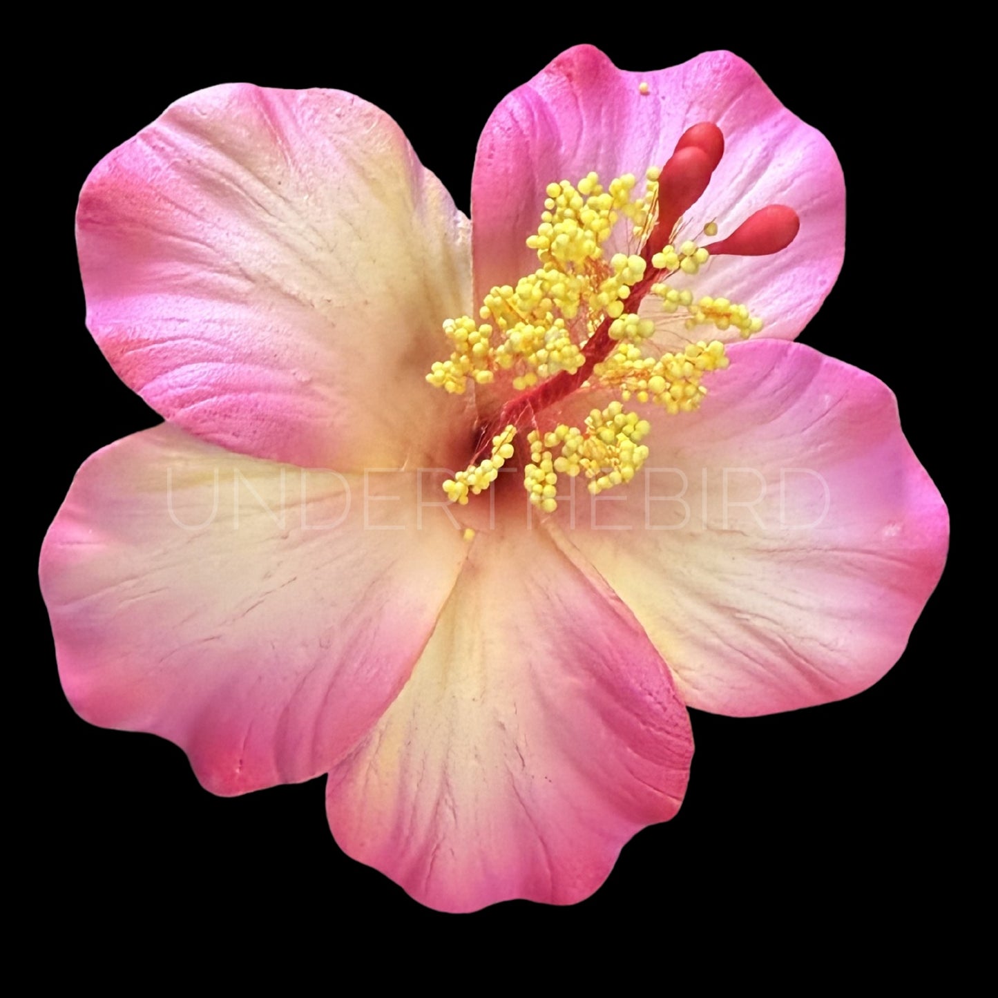 Rona Hibiscus Flower Sei 9cm