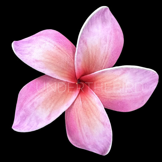 Sieni Flower Sei