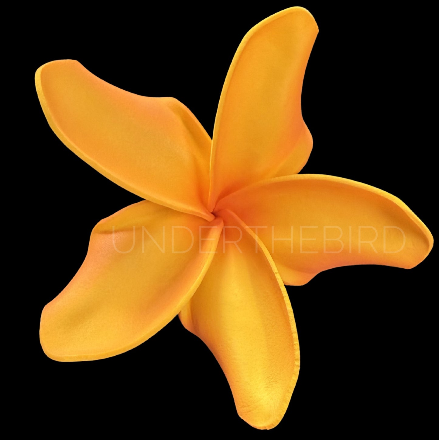 Tifa Frangipani Sei