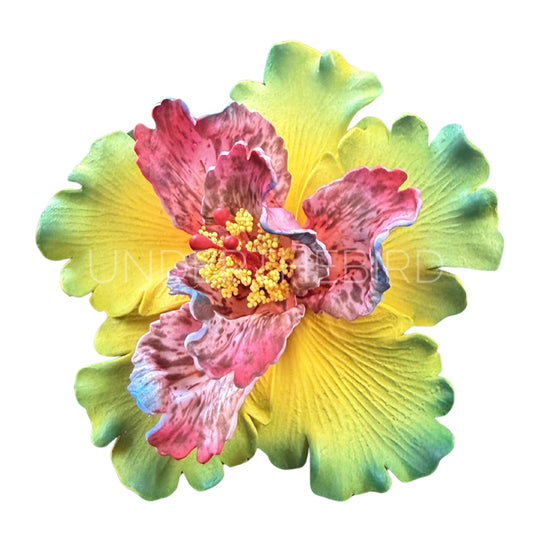 Elena Hibiscus Flower Sei 10.5cm