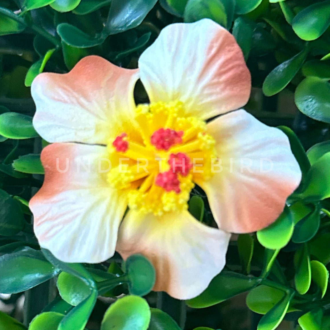 うたの☆プリンスさまっ♪ BIGホログラム缶バッジ Floral Harmony Ver