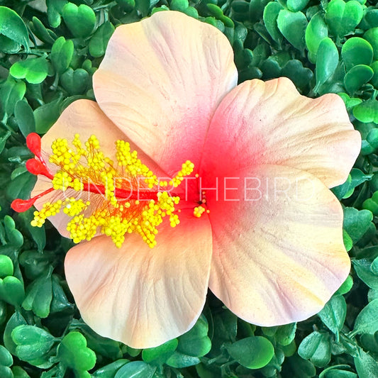 Rona Hibiscus Flower Sei 9cm