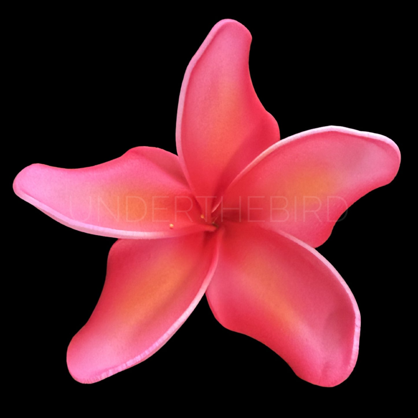 Tifa Frangipani Sei