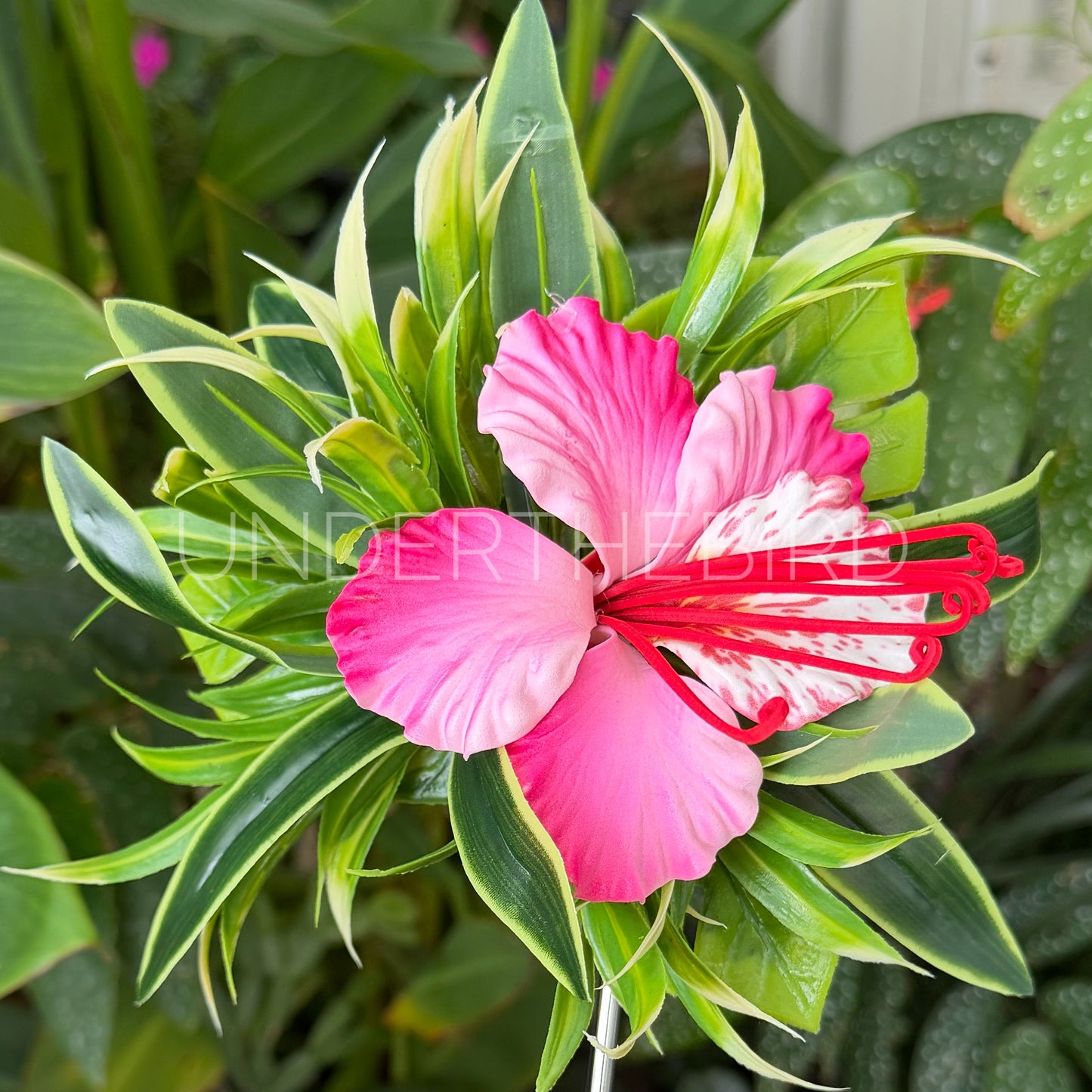 Poinciana Flower Clip