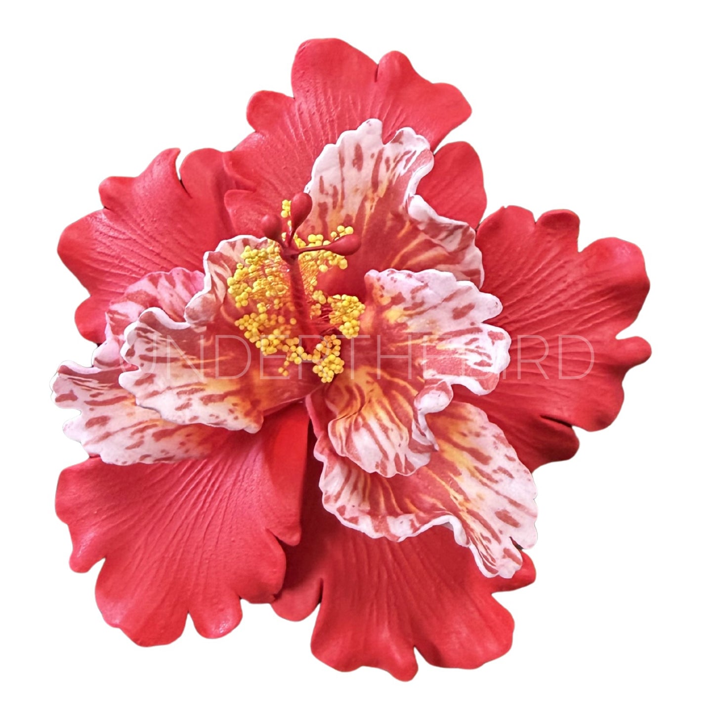 Elena Hibiscus Flower Sei 10.5cm