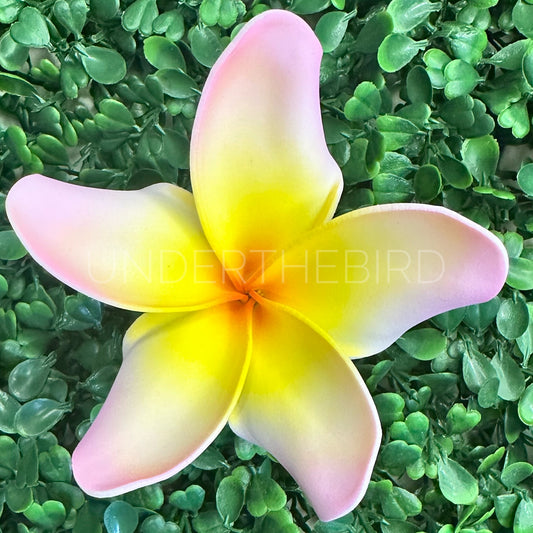 Tifa Frangipani Sei