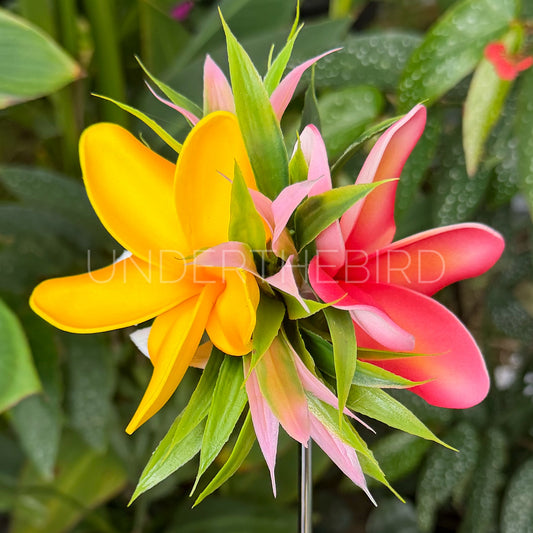 Dbl Pua Flower Clip