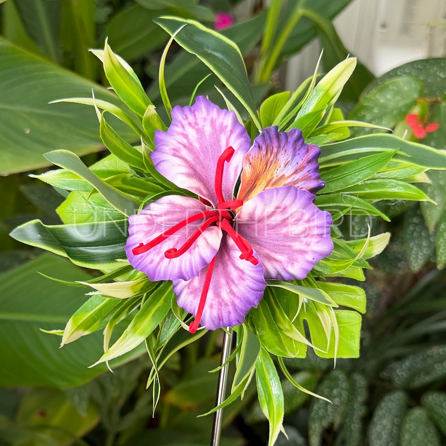 Poinciana Flower Clip