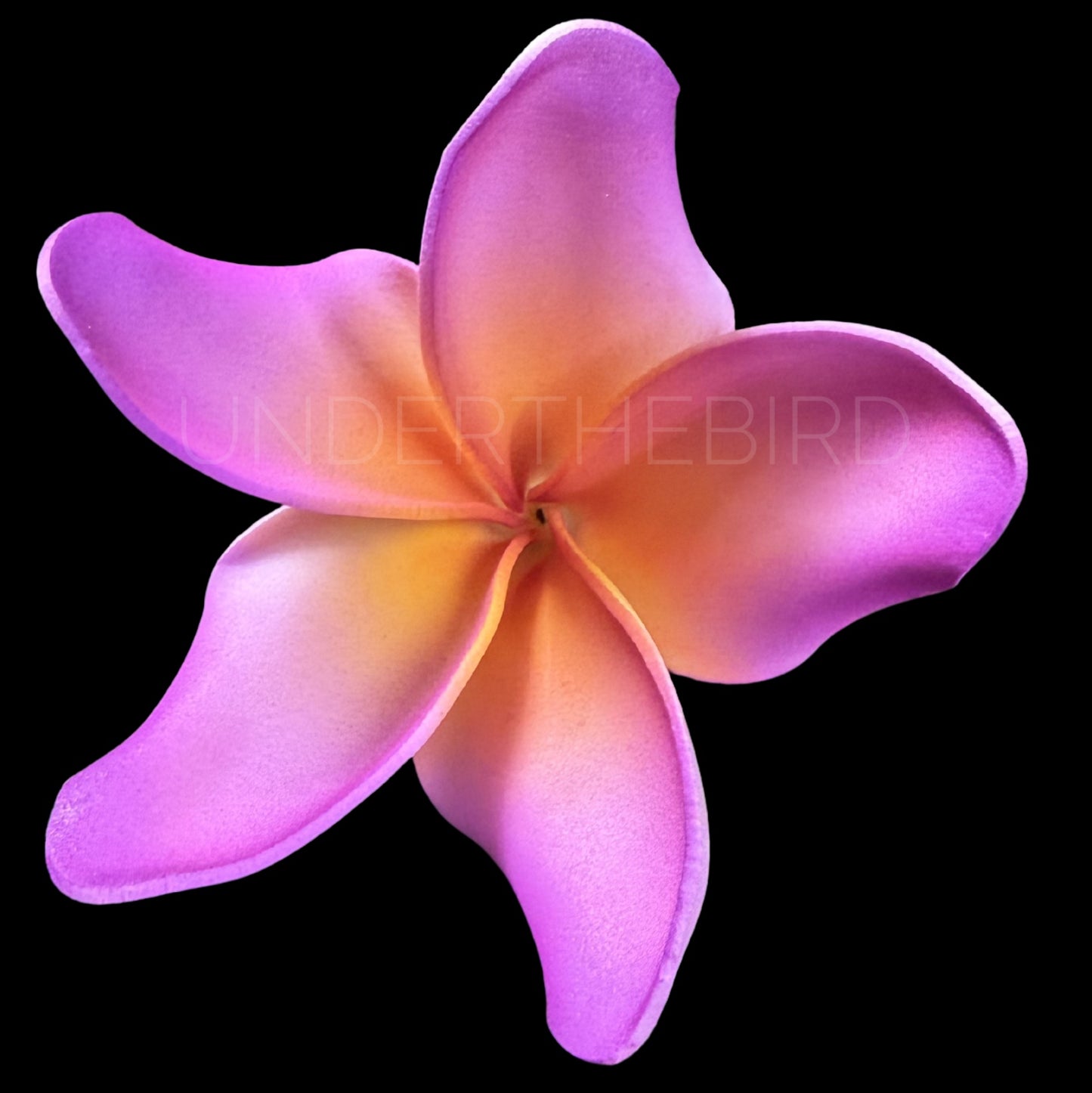 Tifa Frangipani Sei