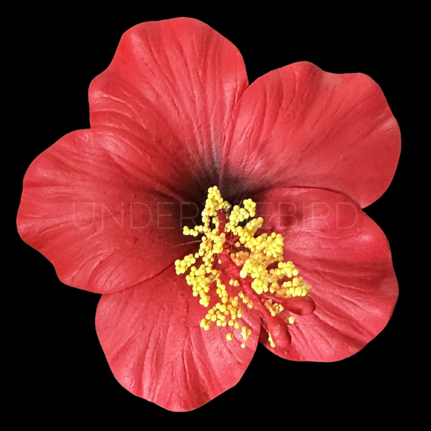 Rona Hibiscus Flower Sei 9cm