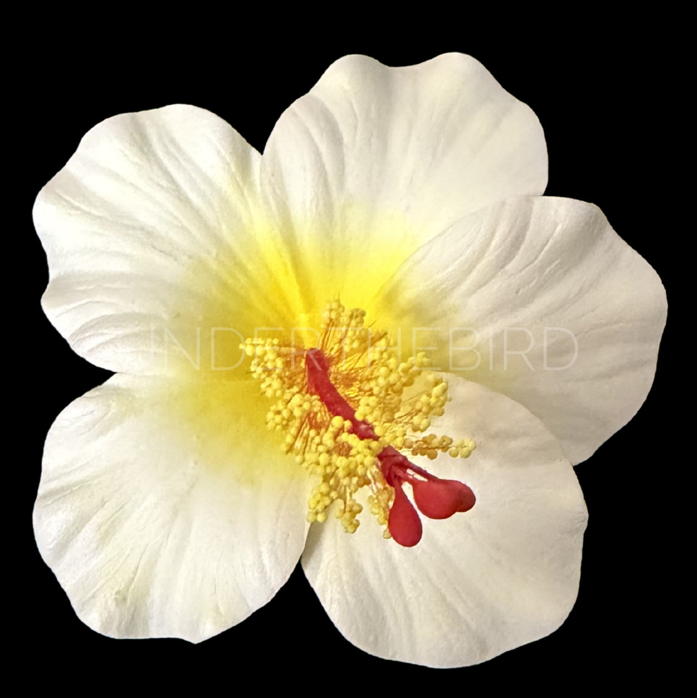 Rona Hibiscus Flower Sei 9cm